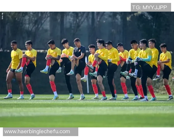 北京羽毛球队整体压制革新之路探索与未来展望