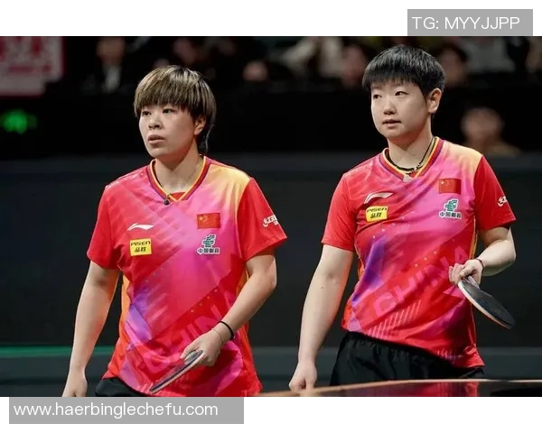 成都乒乓球队的比赛经验揭秘与训练心得分享